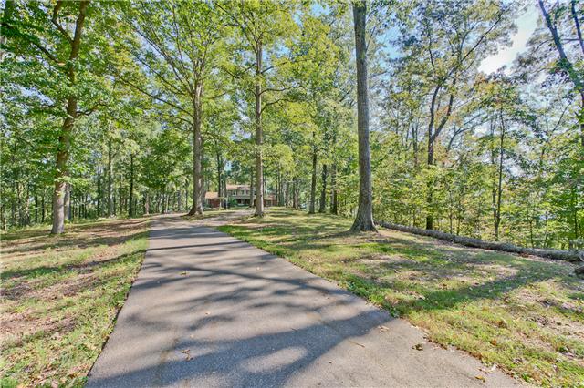 5247 Old Harding Road Fairview, TN 37062 - Photo 3 of 20 a view of yard with tree