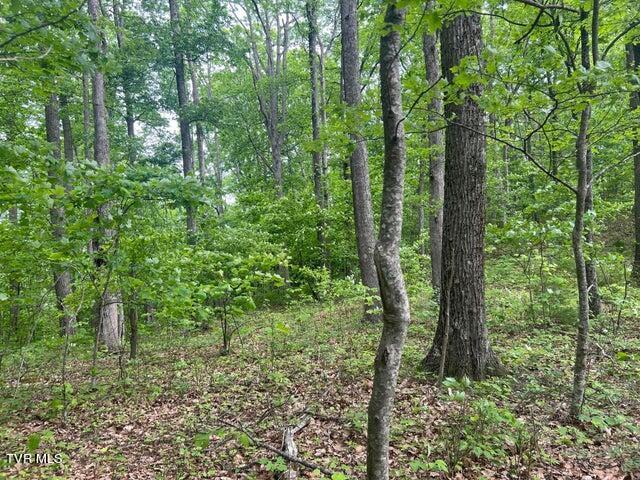 Tbd John Glover Road Hampton, TN 37658 - Photo 17 of 29 0JG 40