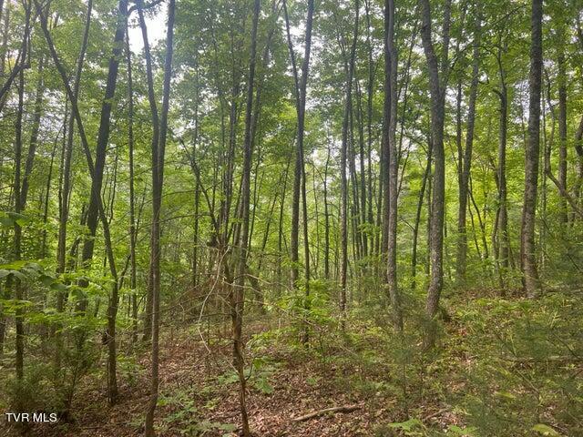 Tbd John Glover Road Hampton, TN 37658 - Photo 21 of 29 0JG 18