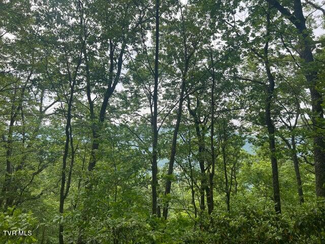 Tbd John Glover Road Hampton, TN 37658 - Photo 22 of 29 0JG 43