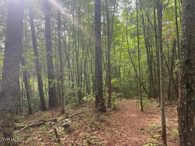 Tbd John Glover Road Hampton, TN 37658 - Photo 23 of 29 0JG 1