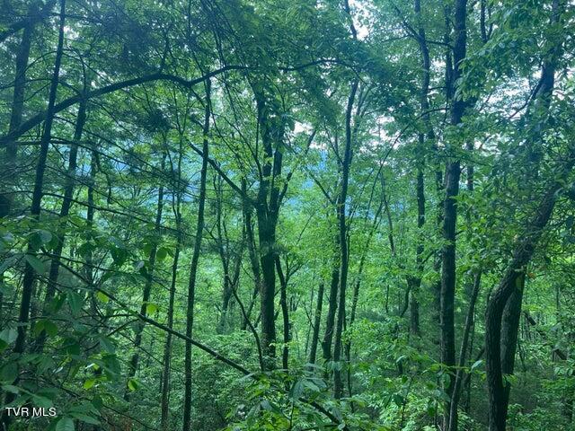 Tbd John Glover Road Hampton, TN 37658 - Photo 24 of 29 0JG31