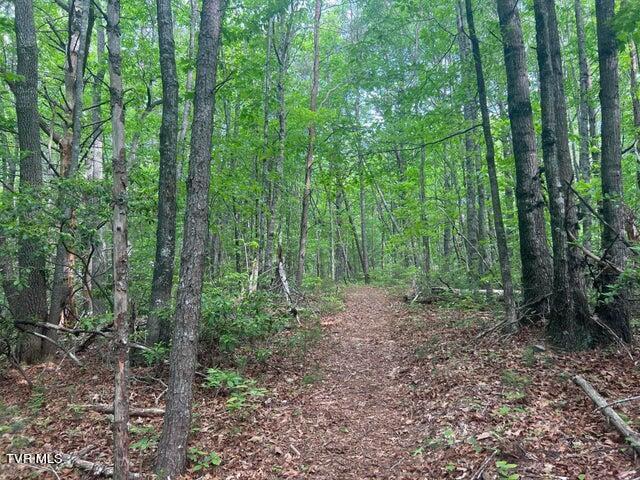 Tbd John Glover Road Hampton, TN 37658 - Photo 25 of 29 0JG 2