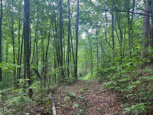 Tbd John Glover Road Hampton, TN 37658 - Photo 26 of 29 0JG 3