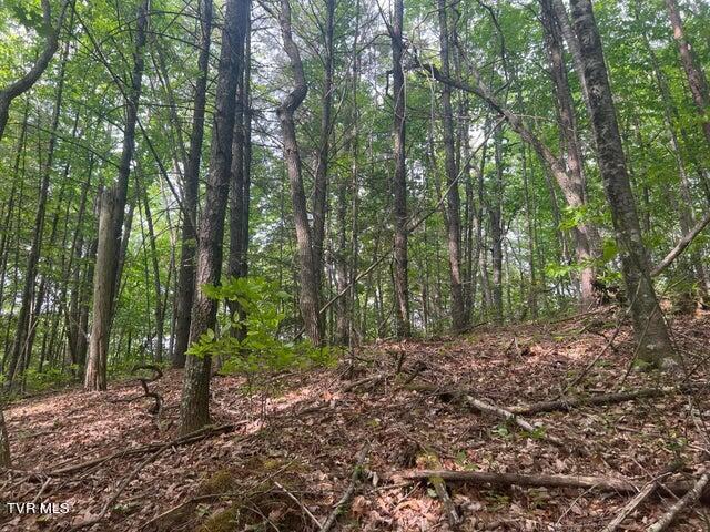 Tbd John Glover Road Hampton, TN 37658 - Photo 27 of 29 0JG 11