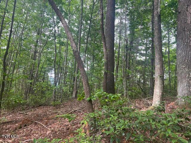 Tbd John Glover Road Hampton, TN 37658 - Photo 28 of 29 0JG 16