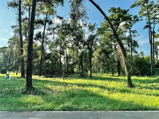 a view of park with trees
