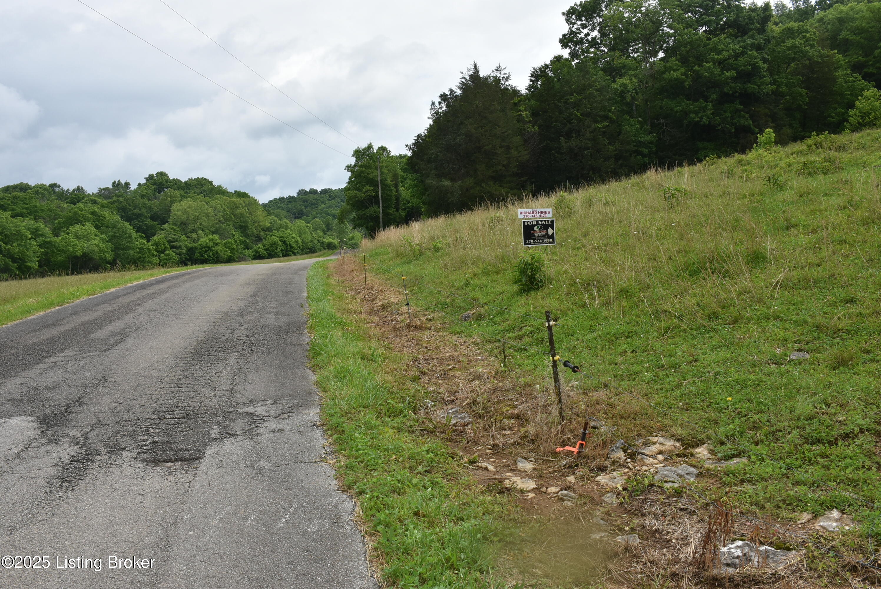 0 Bridgeport Road Edmonton, KY 42129 - Photo 4 of 22 DSC_9189