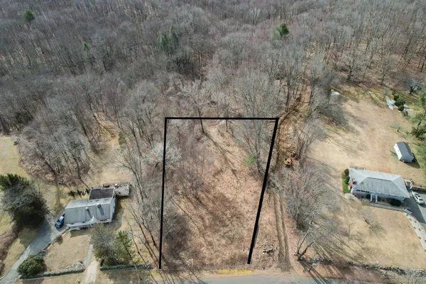 a view of a yard with trees