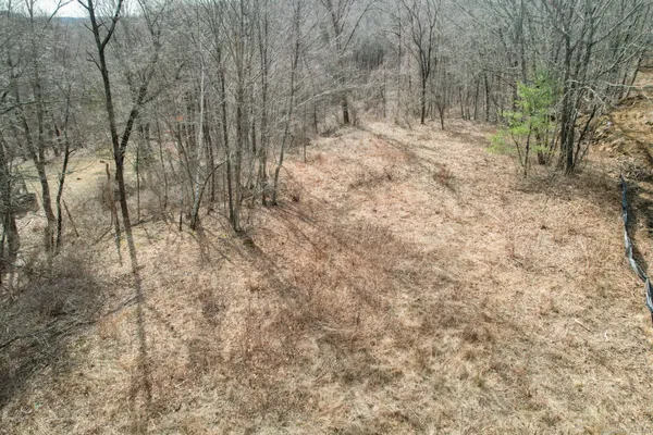 a black and white photo of a painting