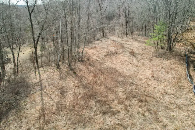 a black and white photo of a painting