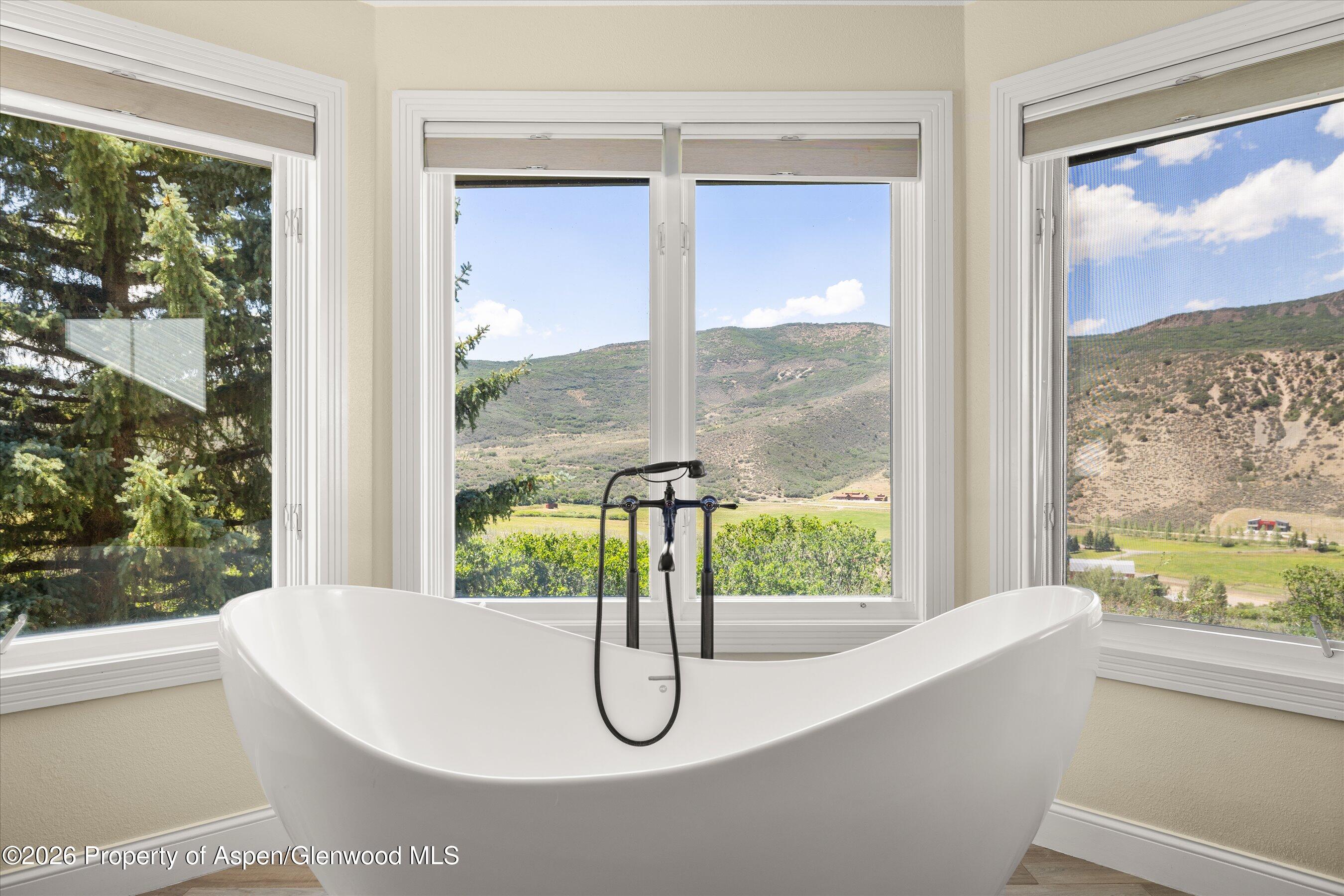 160 Spring Creek Road Basalt, CO 81621 - Photo 28 of 61 Primary Bath w/Views