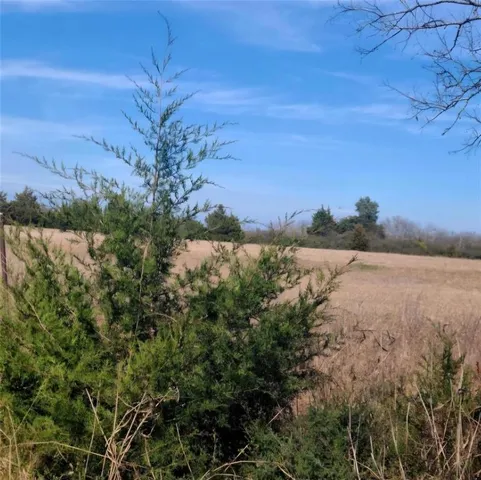 a view of yard with green space