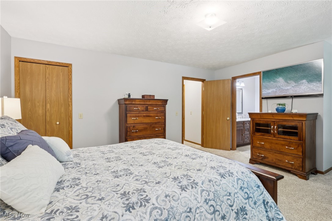 6163 North Oval Road Clinton, OH 44216 - Photo 19 of 41 Primary bedroom featuring a closet, carpet flooring and view of the primary bathroom