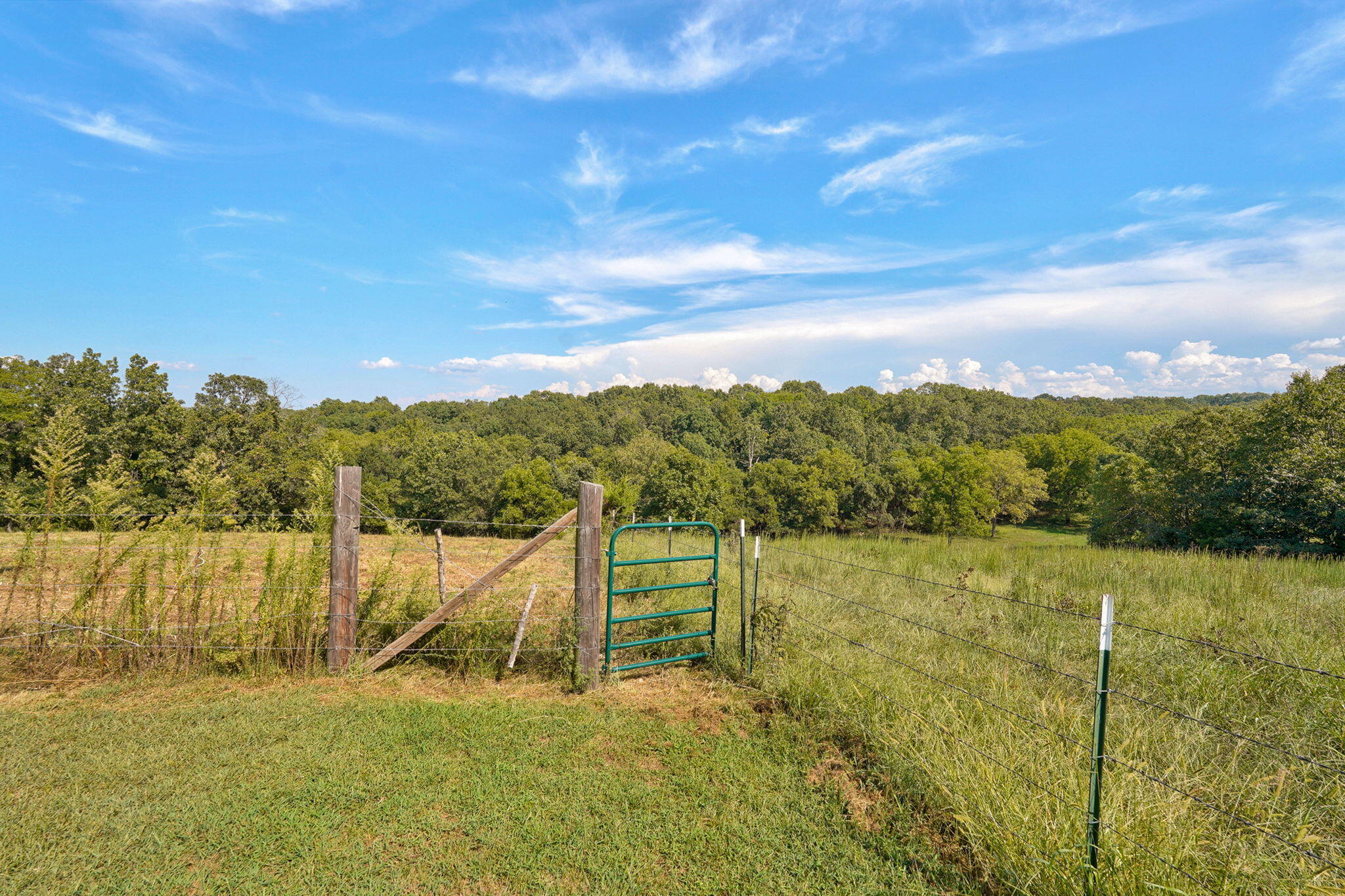 1257 Elkhead Road Bruner, MO 65620 - Photo 29 of 45 1257 Elkhead Rd-34