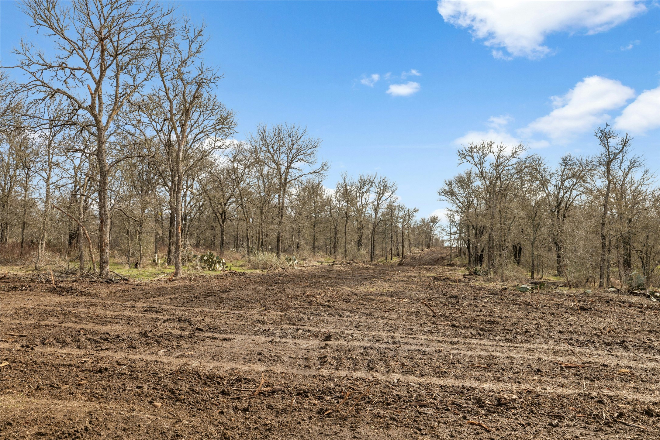 747 County Road 467 Elgin, TX 78621 - Photo 2 of 7 View of local wilderness