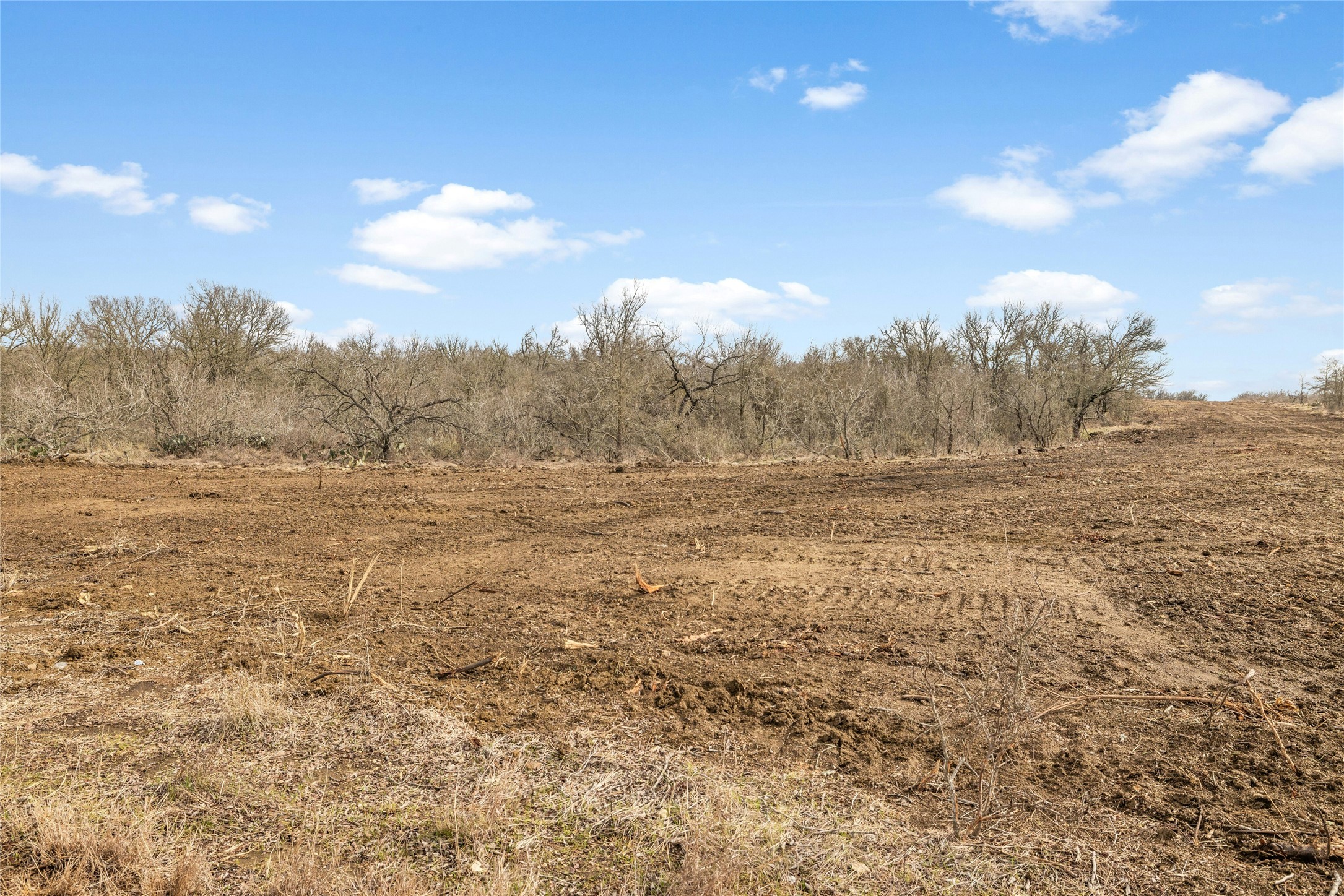 747 County Road 467 Elgin, TX 78621 - Photo 3 of 7 View of undeveloped land with rural landscape