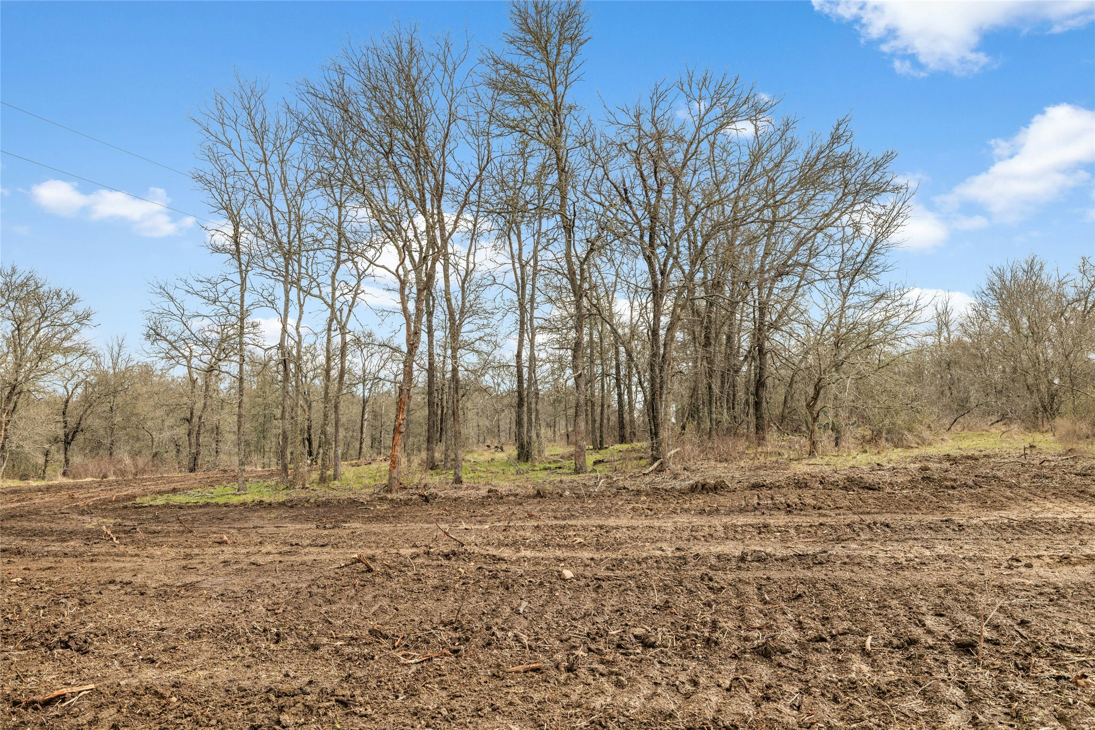 747 County Road 467 Elgin, TX 78621 - Photo 4 of 7 View of local wilderness