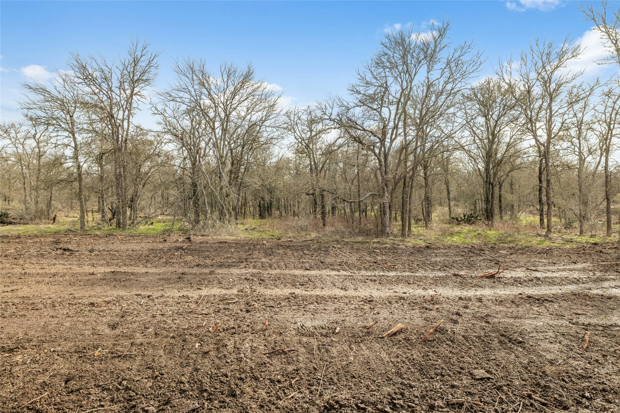 747 County Road 467 Elgin, TX 78621 - Photo 6 of 7 View of nature