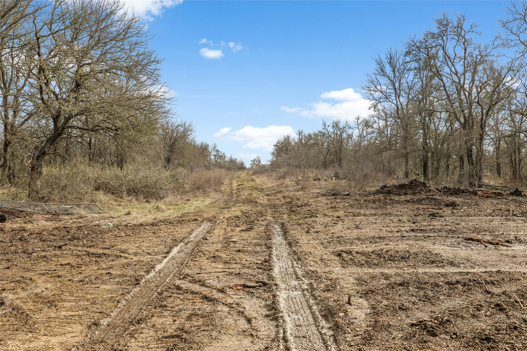 747 County Road 467 Elgin, TX 78621 - Photo 7 of 7