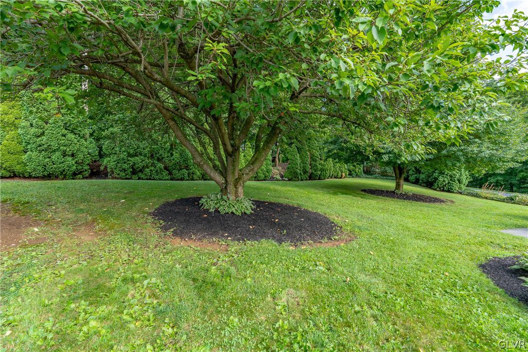 17 Fredericksville Road Mertztown, PA 19539 - Photo 11 of 28 Fruit Tree
