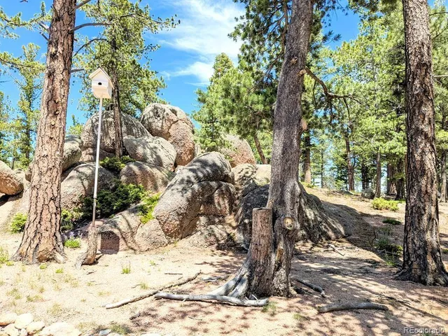 $1,850,000 | 10 Robert Road, Rye, CO 81069