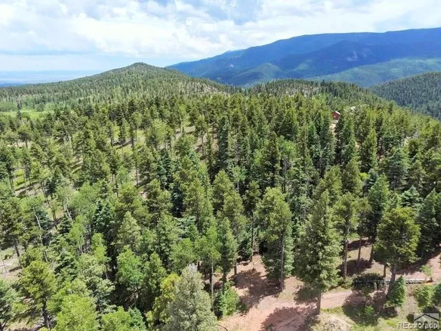 $1,850,000 | 10 Robert Road, Rye, CO 81069