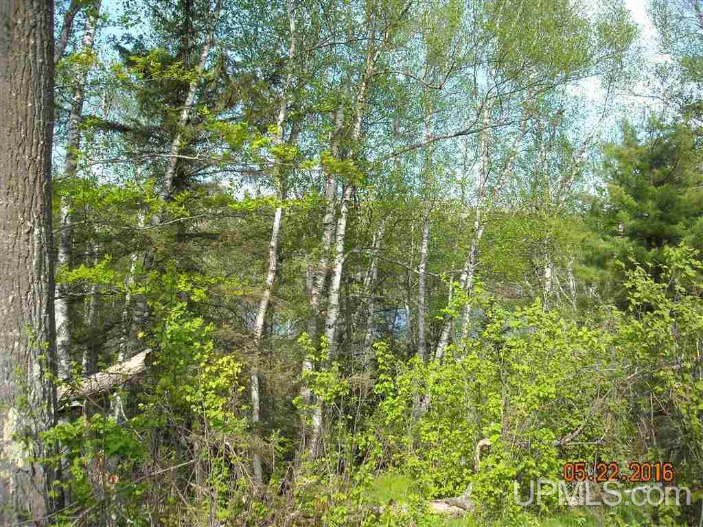 T-wi River Forest Road, Unit LOT 7 Florence, WI 54121 - Photo 6 of 6