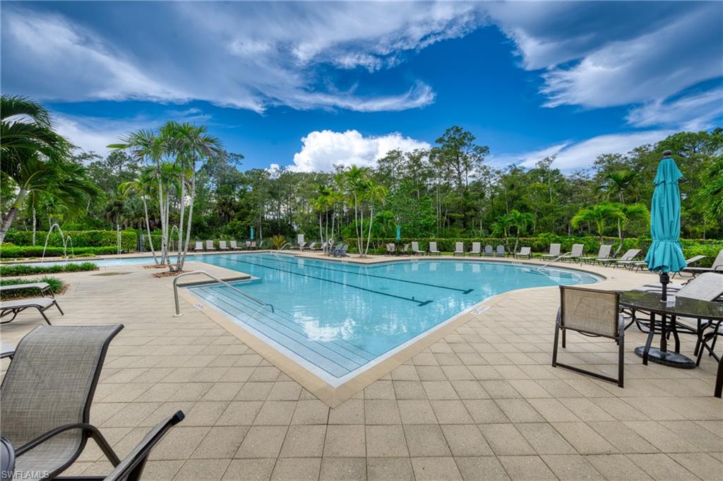 4374 Bismark Way Naples, FL 34119 - Photo 43 of 49 Expansive outdoor pool area featuring a large swimming pool, surrounding paver decking, multiple palm trees, and lush perimeter landscaping