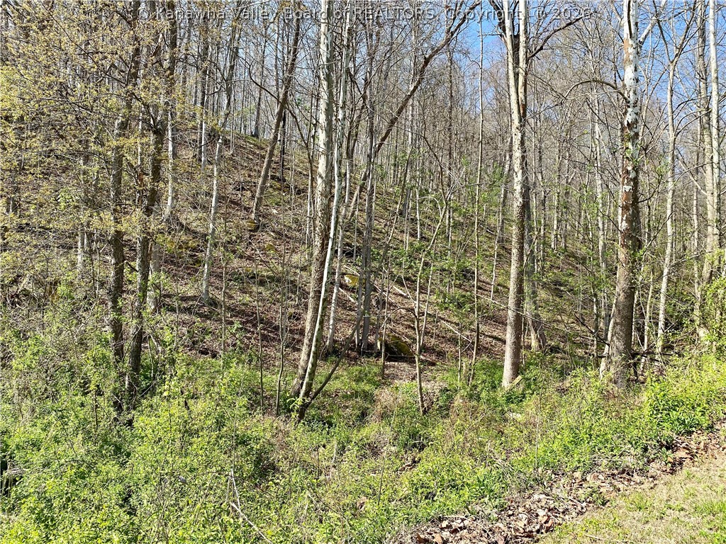 2835 Poca River Road Charleston, WV 25320 - Photo 47 of 50 Gallery Image 47