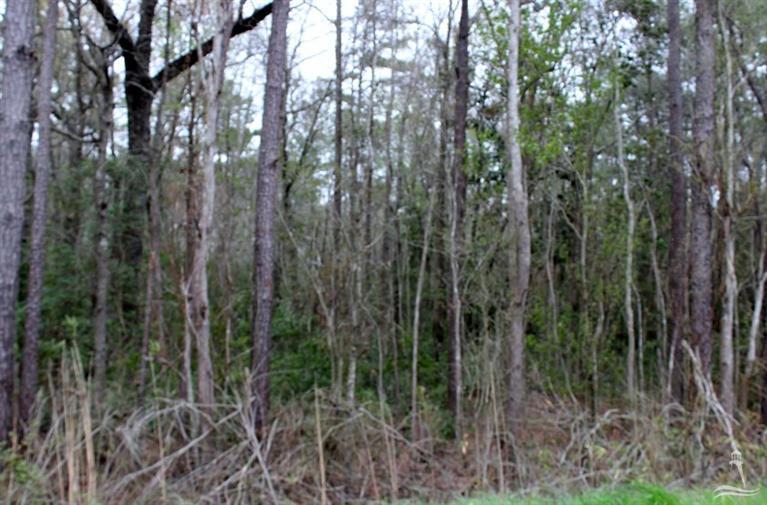 40 Exum Road Northwest Ash, NC 28420 - Photo 11 of 14 Additional Photo
