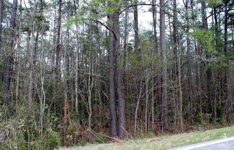 40 Exum Road Northwest Ash, NC 28420 - Photo 12 of 14 Additional Photo