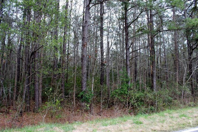 40 Exum Road Northwest Ash, NC 28420 - Photo 14 of 14 Additional Photo