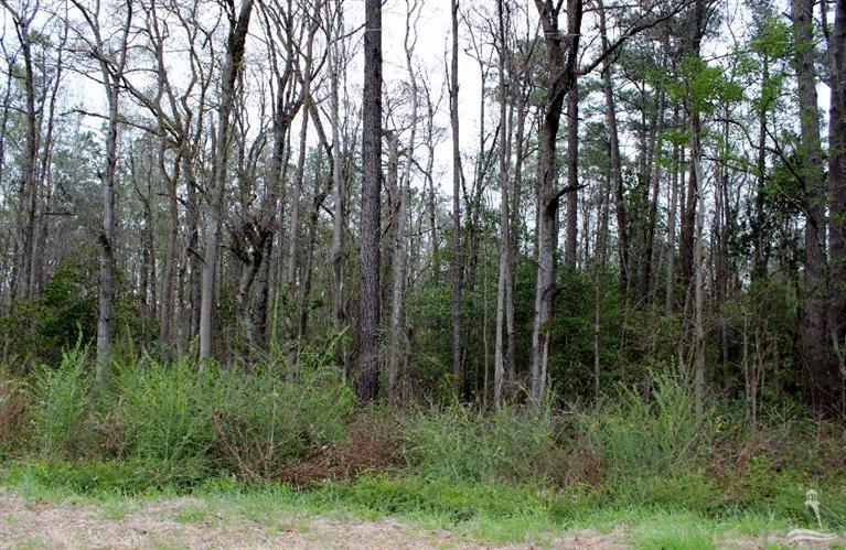 40 Exum Road Northwest Ash, NC 28420 - Photo 6 of 14 Additional Photo