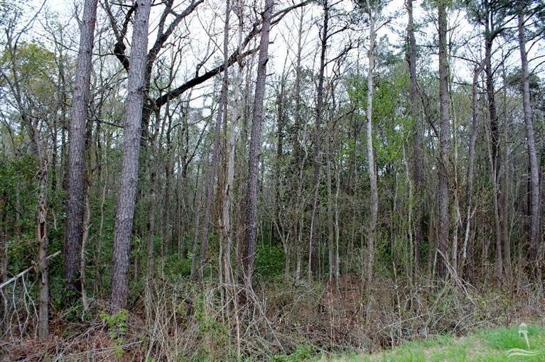 40 Exum Road Northwest Ash, NC 28420 - Photo 7 of 14 Additional Photo