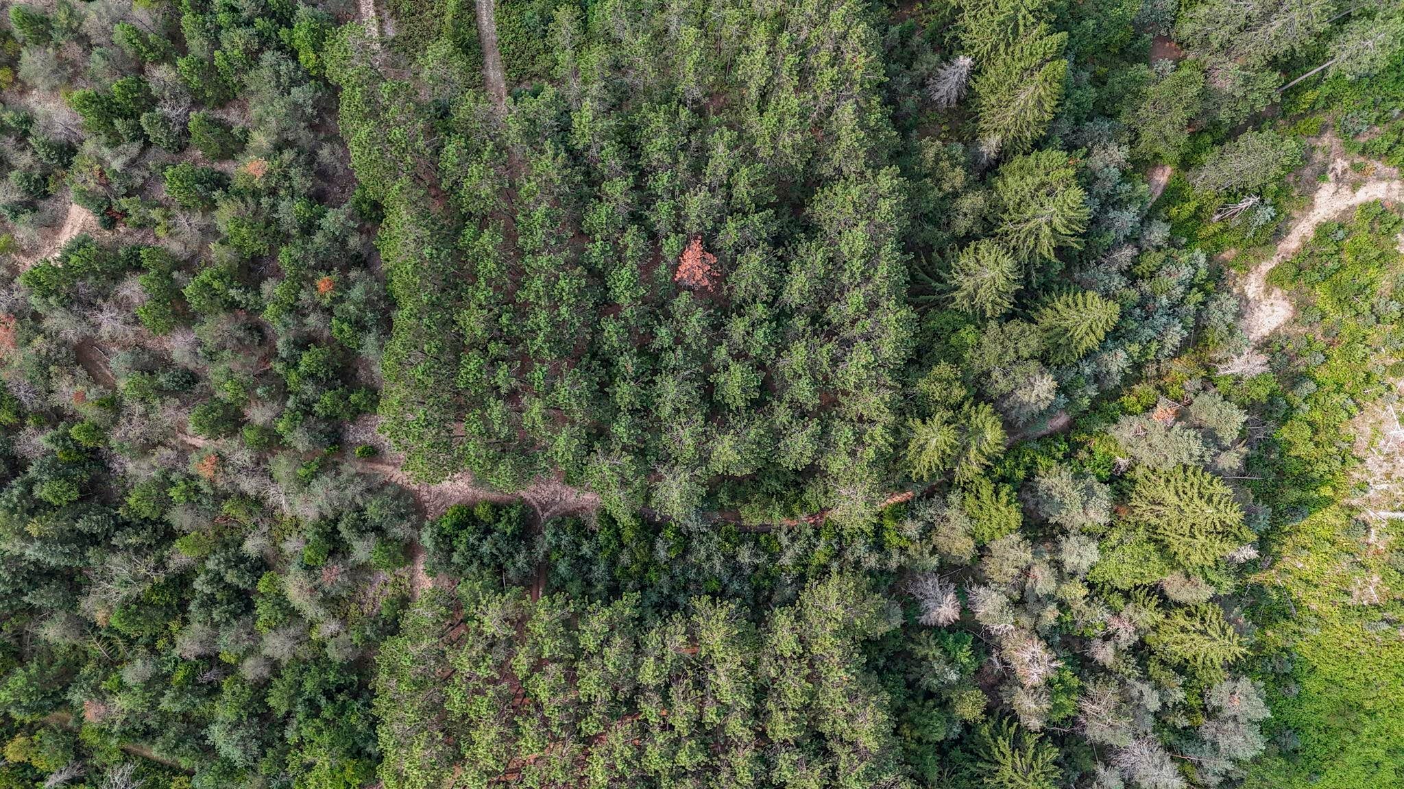 8783 West 10 Road Mesick, MI 49668 - Photo 76 of 84 Gallery Image 76