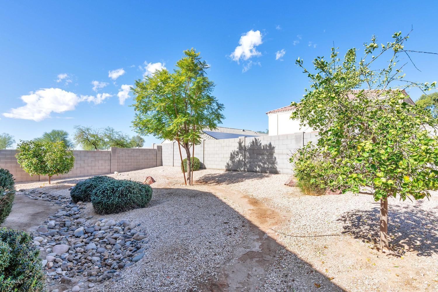 23850 West Chipman Road Buckeye, AZ 85326 - Photo 26 of 29 23850 W Chipman Rd-large-026-025-Backyar
