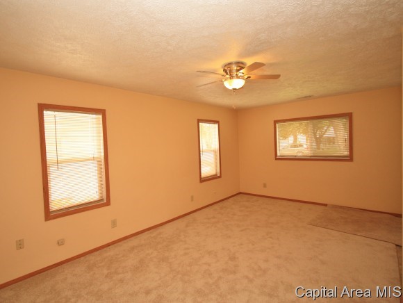 1929 North 20th Street Springfield, IL 62702 - Photo 3 of 9