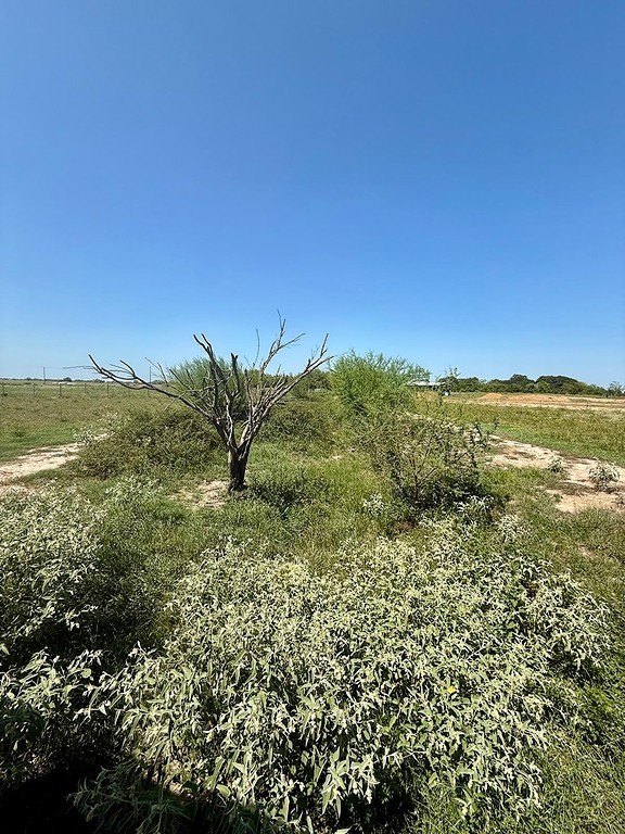 1993 FM 2761 Road Cat Spring, TX 78933 - Photo 10 of 10