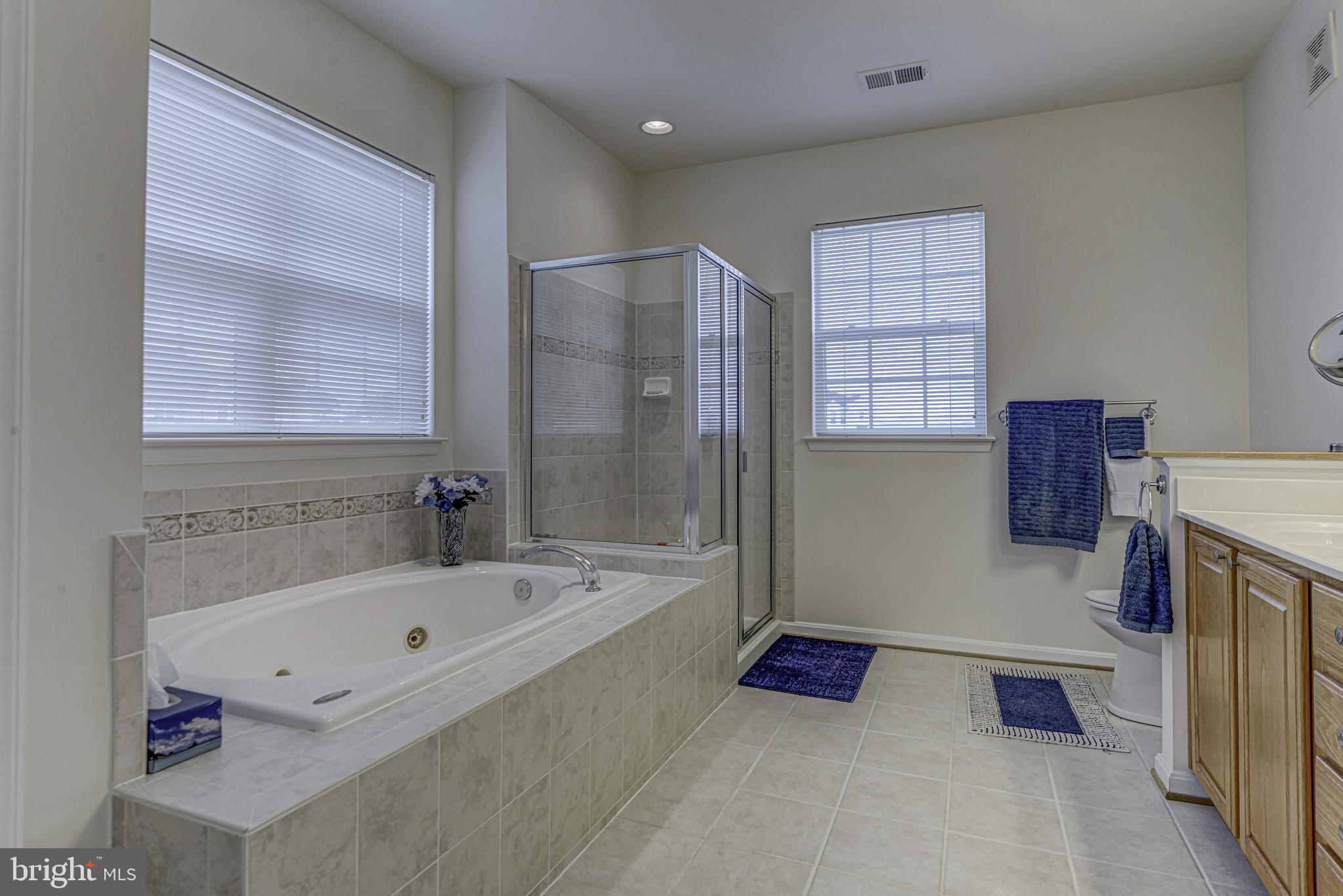 7305 Maplecrest Road, Unit 302 Elkridge, MD 21075 - Photo 20 of 30