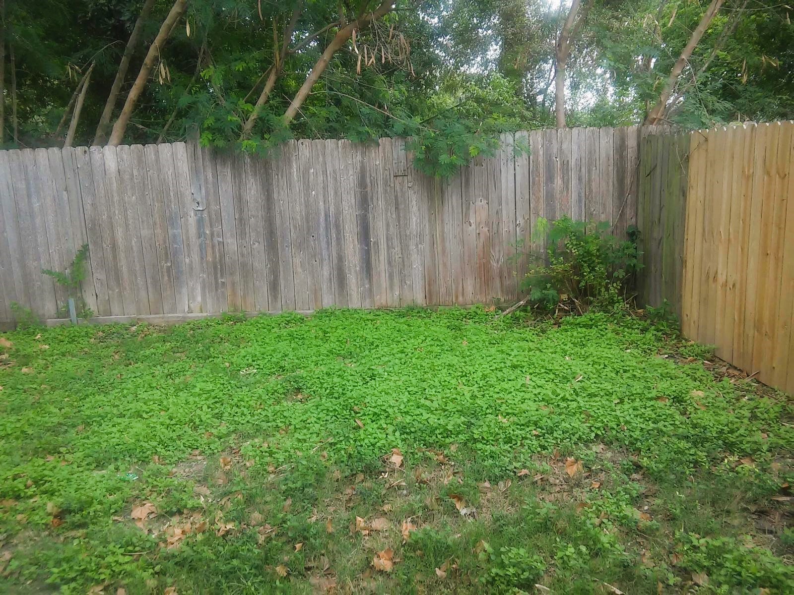 3810 Cochran Street Houston, TX 77009 - Photo 12 of 12 a view of backyard with wooden fences