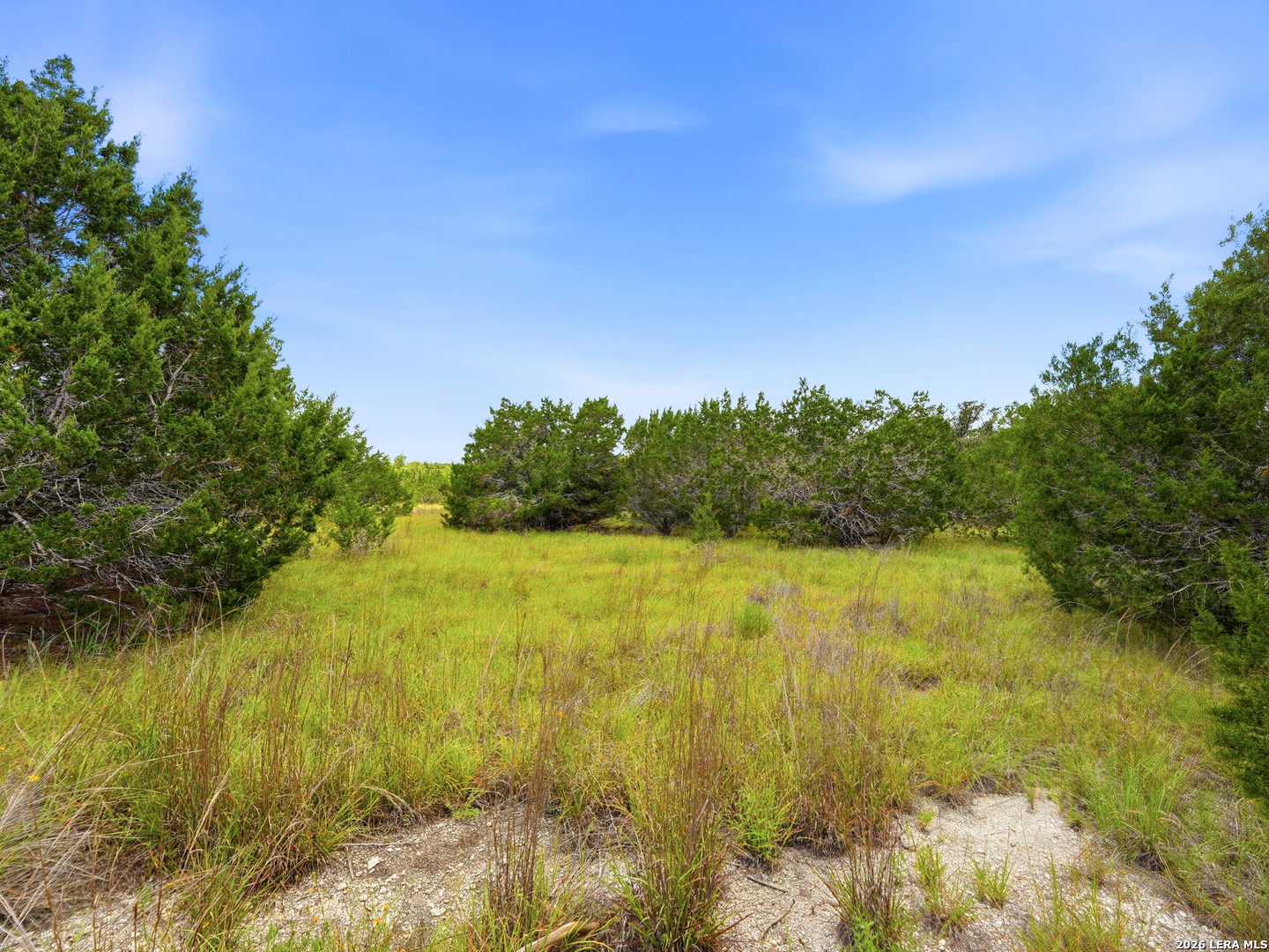 1030 Sunrise Place Spring Branch, TX 78070 - Photo 3 of 30