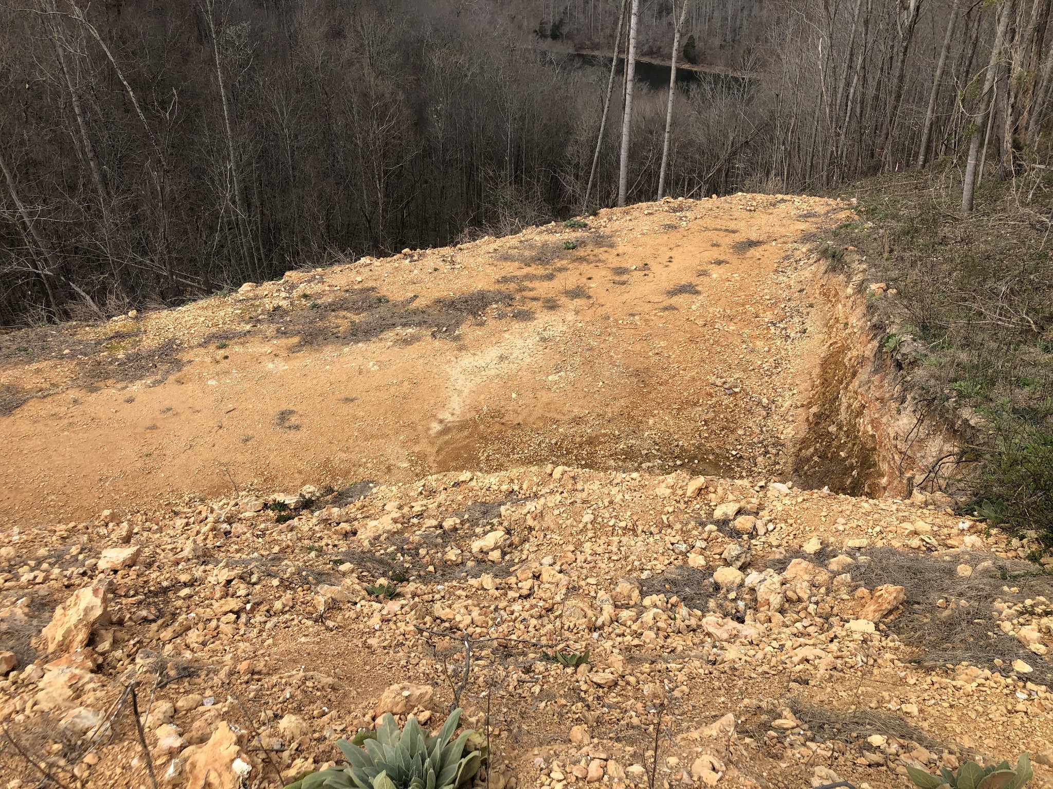 2 Fox Hill Road Baxter, TN 38544 - Photo 2 of 5