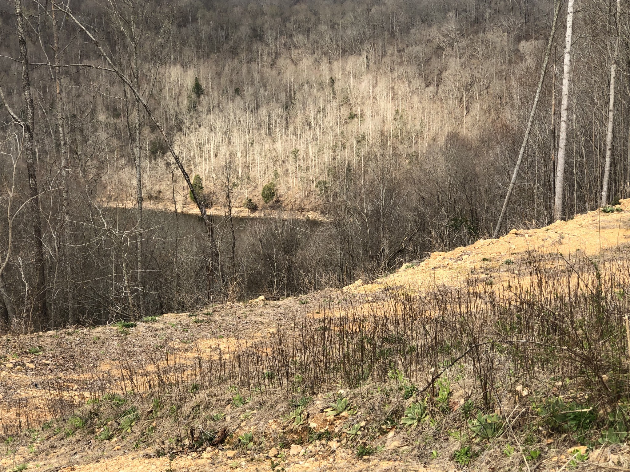 2 Fox Hill Road Baxter, TN 38544 - Photo 4 of 5