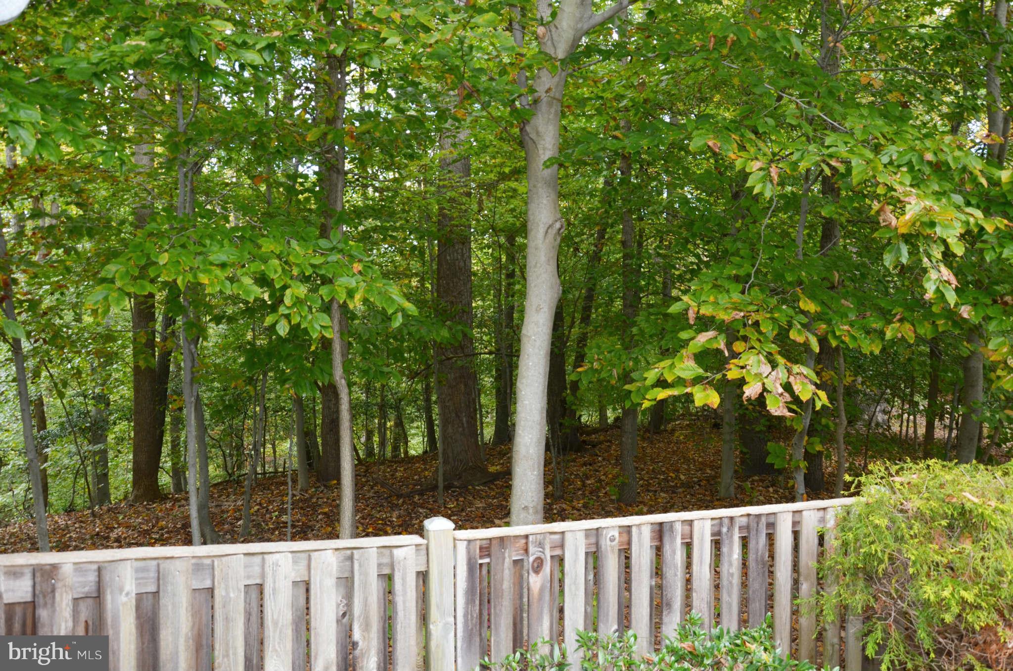 2500 Bollard Road Annapolis, MD 21401 - Photo 28 of 30 Exterior (Rear)
