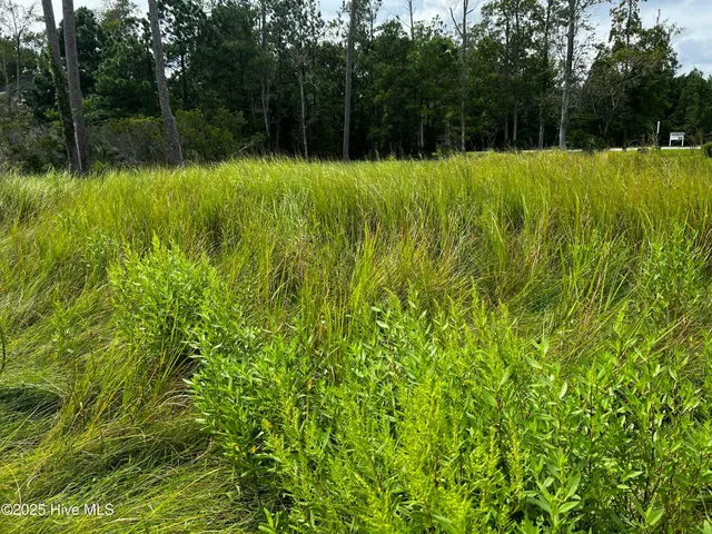 $125,000 | Lot 2 Dowry Creek East, Belhaven, NC 27810