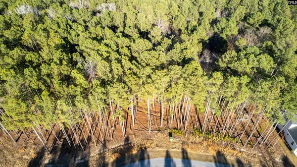 $120,000 | Lot 83 Timber Trail Lane, Prosperity, SC 29127