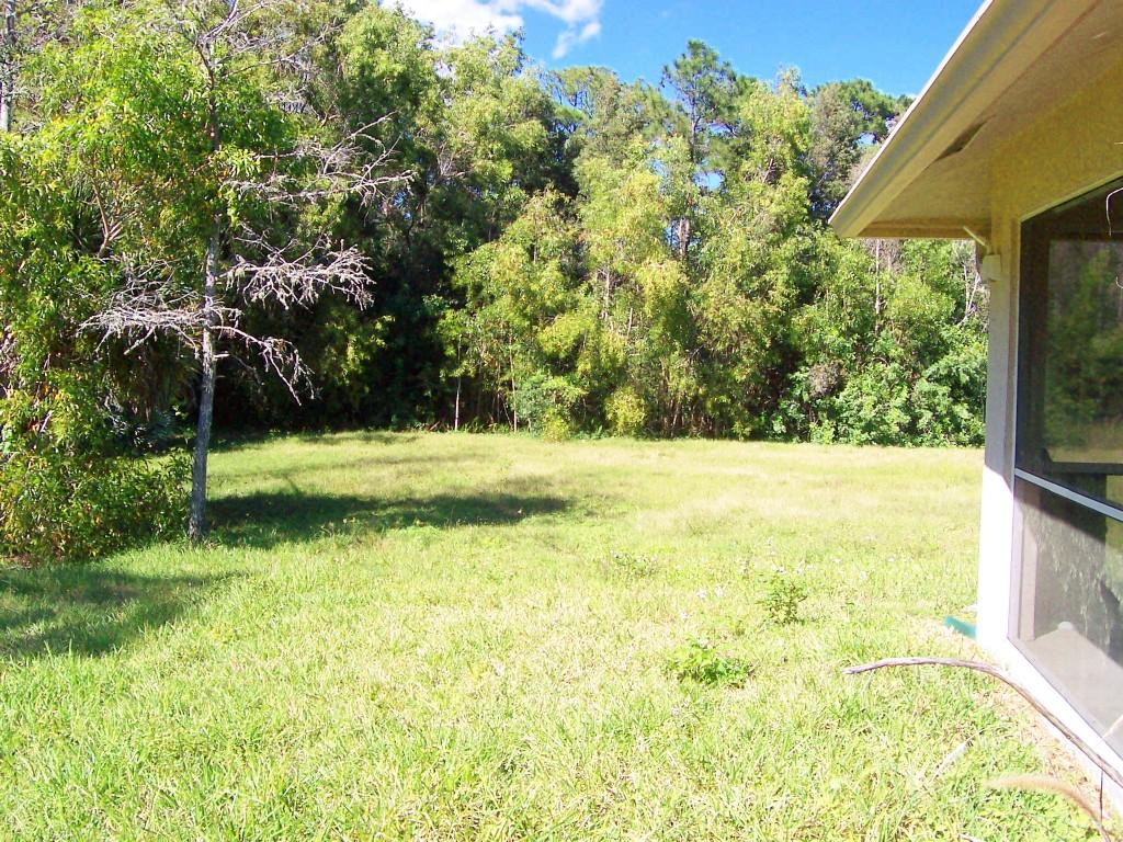 2545 F Road Loxahatchee Groves, FL 33470 - Photo 16 of 20 TAYLOR LINDA BACK YARD
