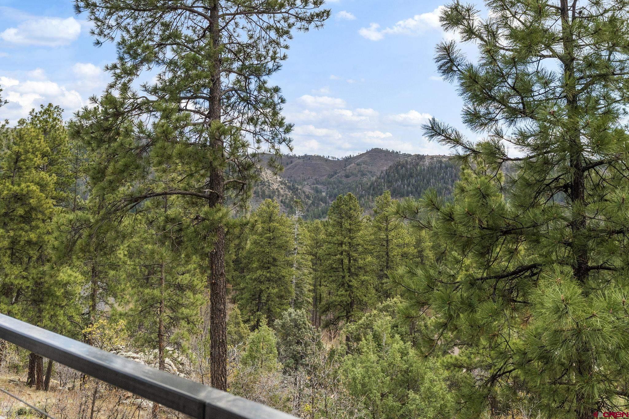 56 Boulder View Drive Durango, CO 81301 - Photo 32 of 38