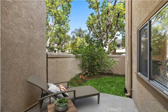 a view of a garden with plants and large trees